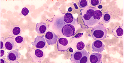Melanoma_cells_S_A